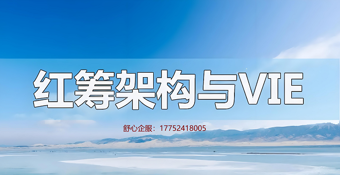 VIE架構37號文：撬動全球市場的秘密武器